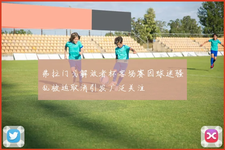 弗拉门戈解放者杯客场赛因球迷骚乱被迫取消引发广泛关注